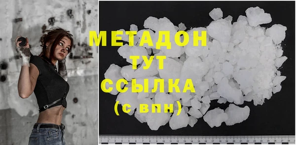 индика Снежногорск