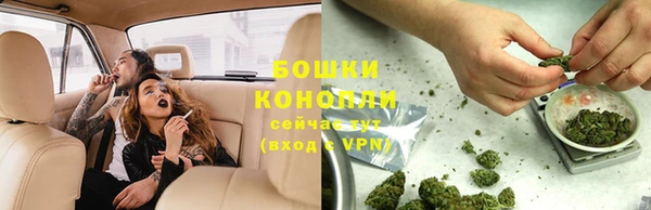 сатива Вязьма