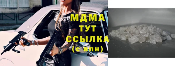индика Снежногорск