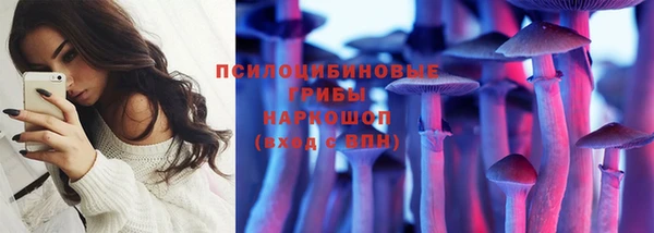 сатива Вязьма