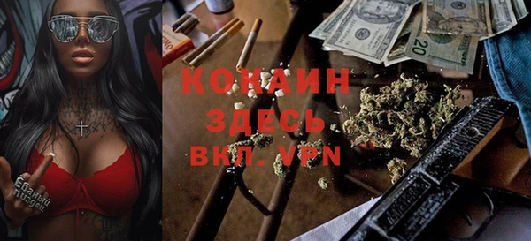 сатива Вязьма